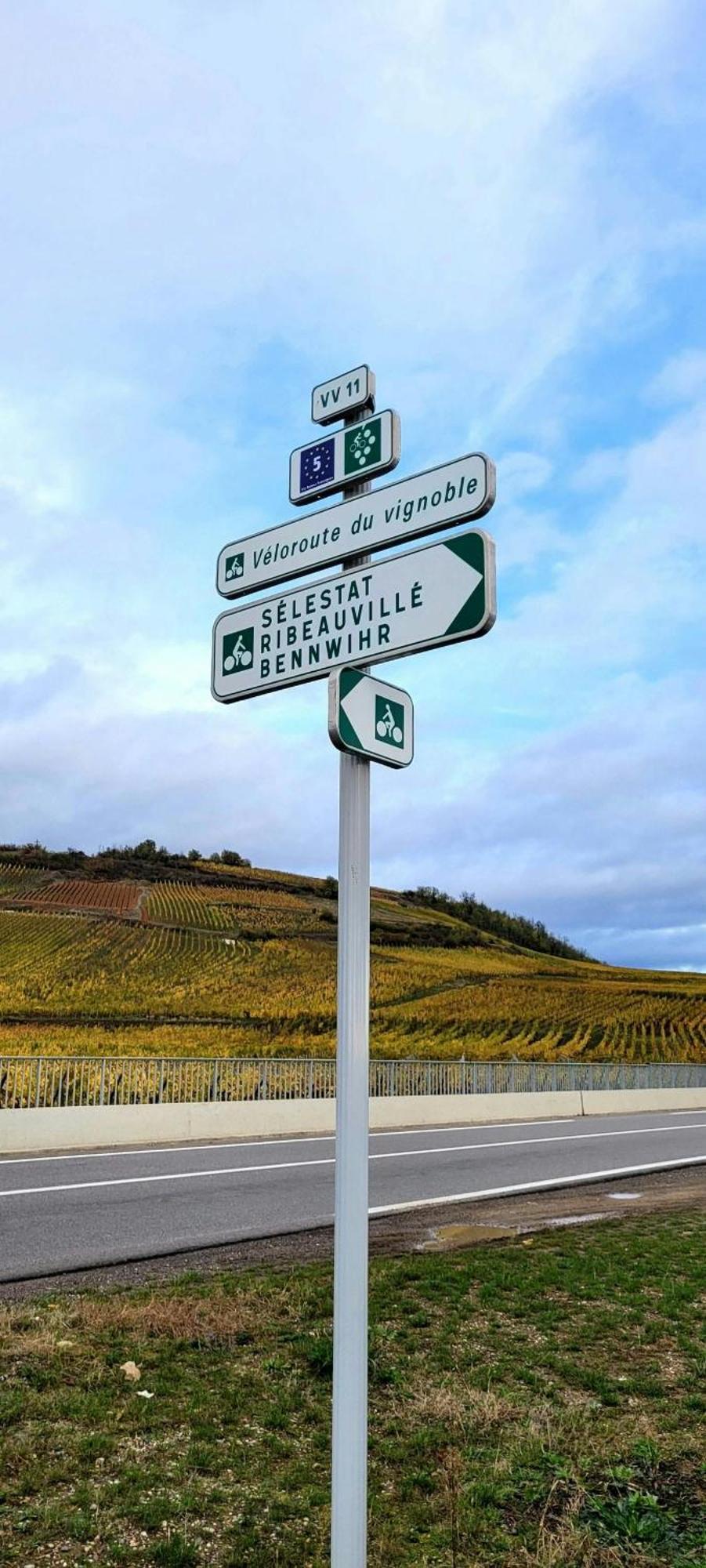 3 Stars Domaine Des Vignes - Kaysersberg Vignoble Sigolsheim エクステリア 写真